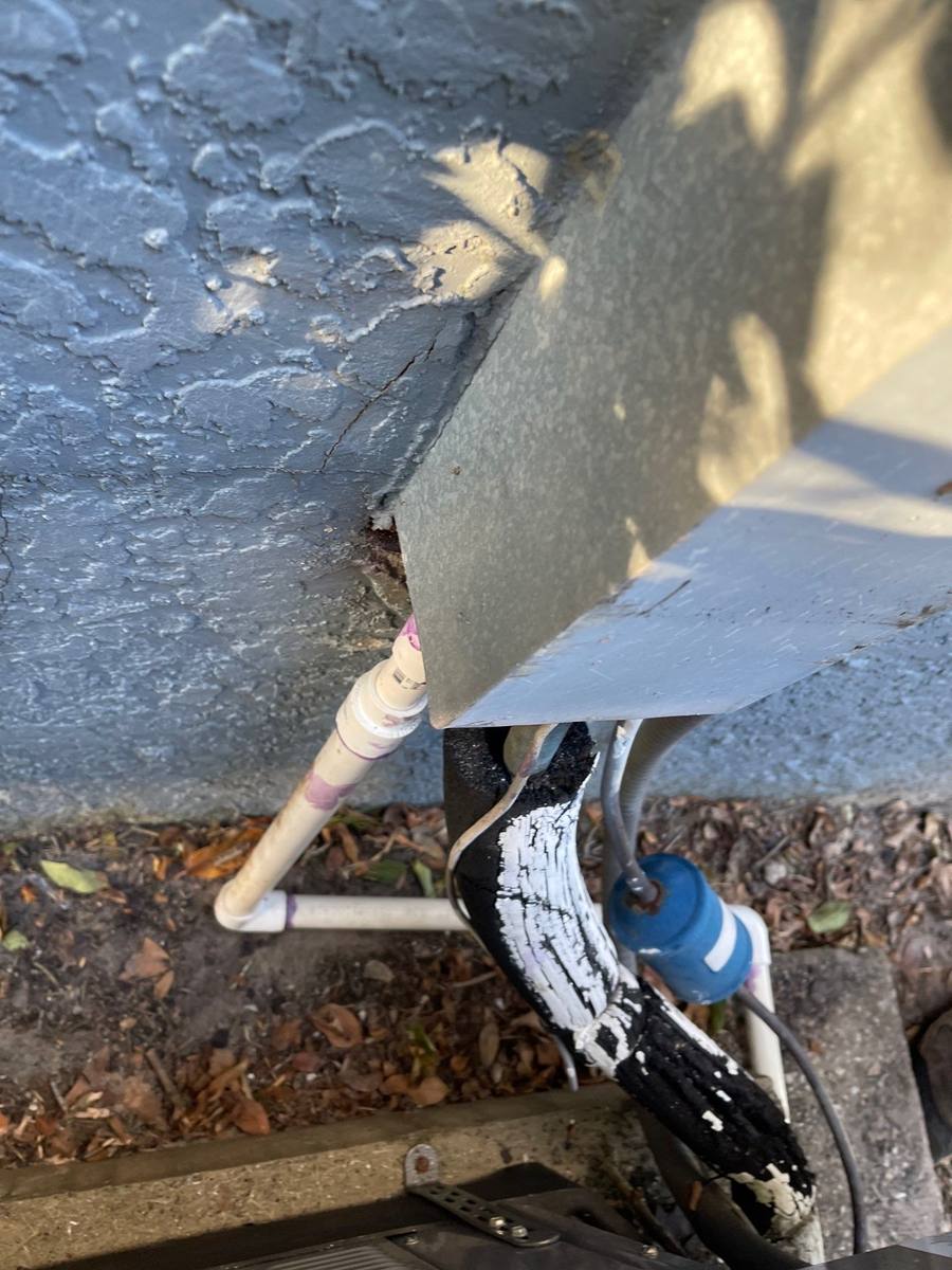 shingle roof replacement in Wesley Chapel, Florida