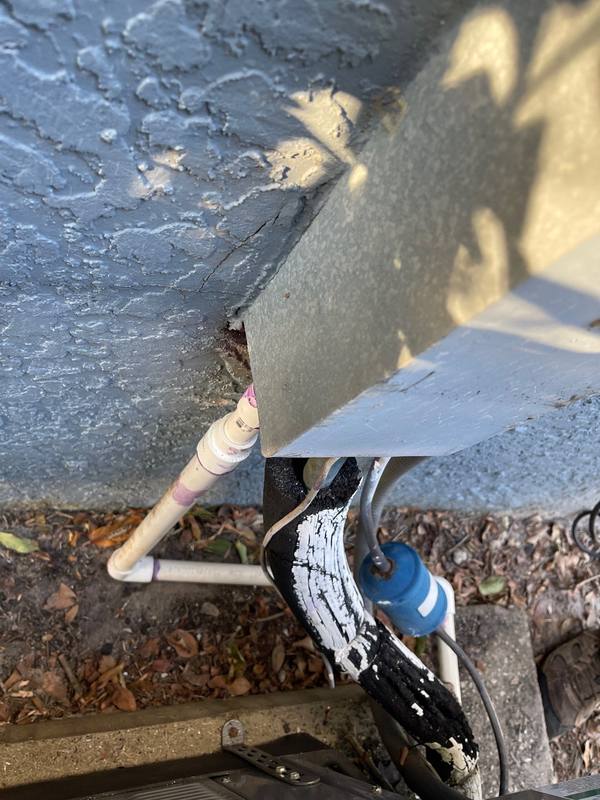 shingle roof replacement in Wesley Chapel, Florida