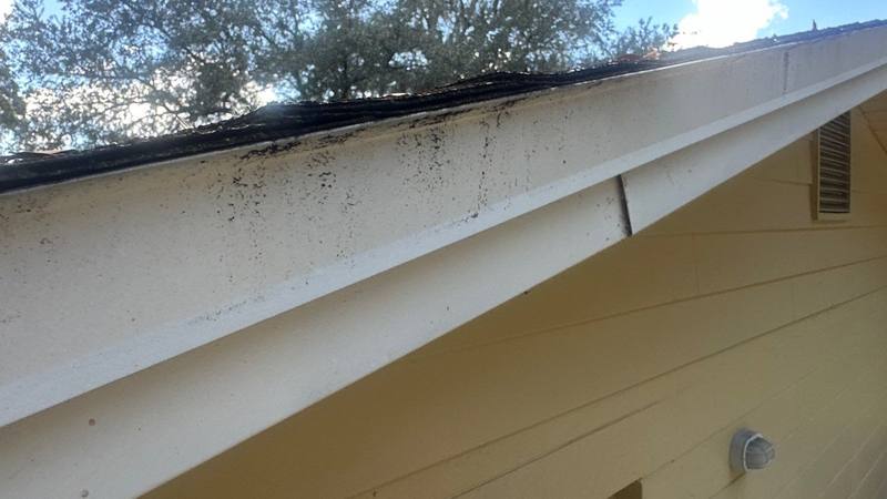 completed roofing project in Zephyrhills FL