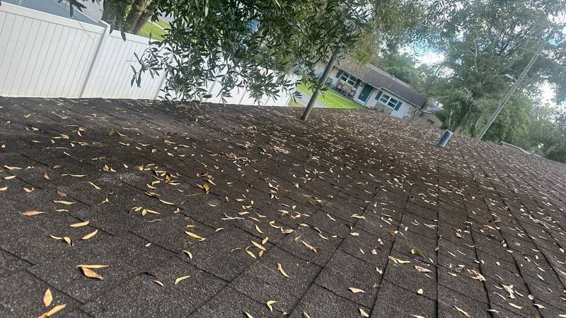 roofing project near 6th Ave in Zephyrhills