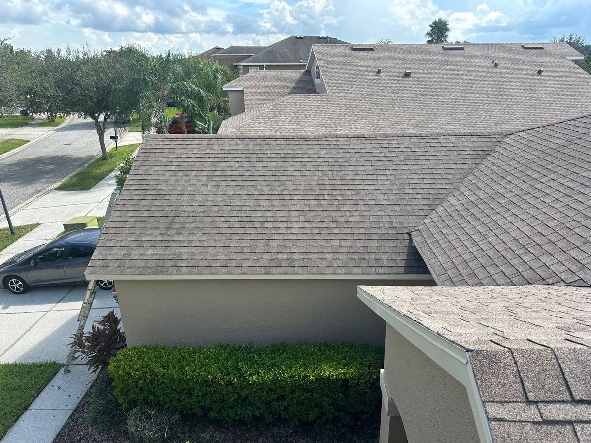 shingle roof replacement in Tampa, Florida