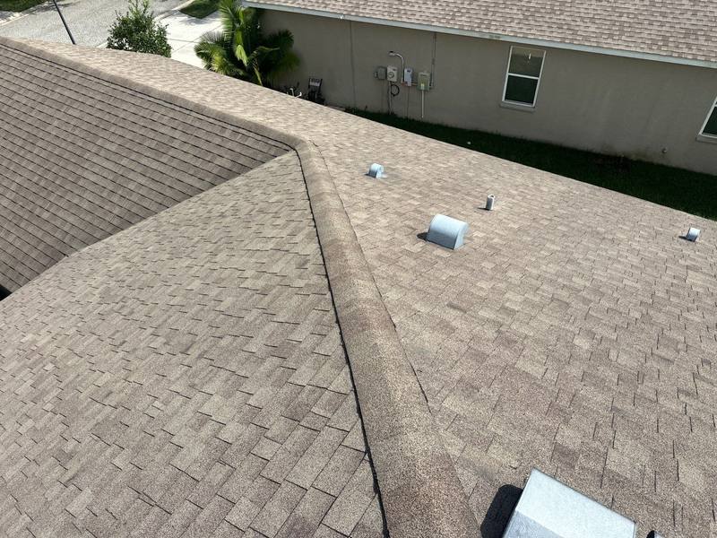 shingle roof replacement in Tampa, Florida