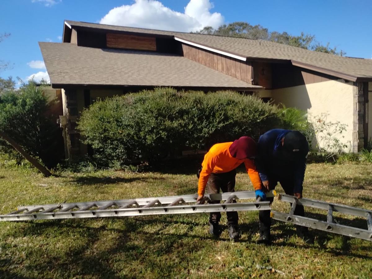 shingle roof replacement in Lutz, Florida