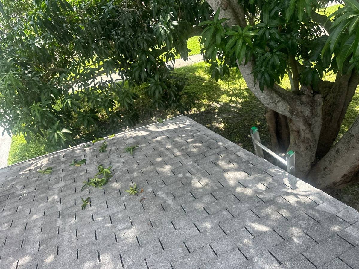 shingle roof replacement in St. Petersburg, Florida