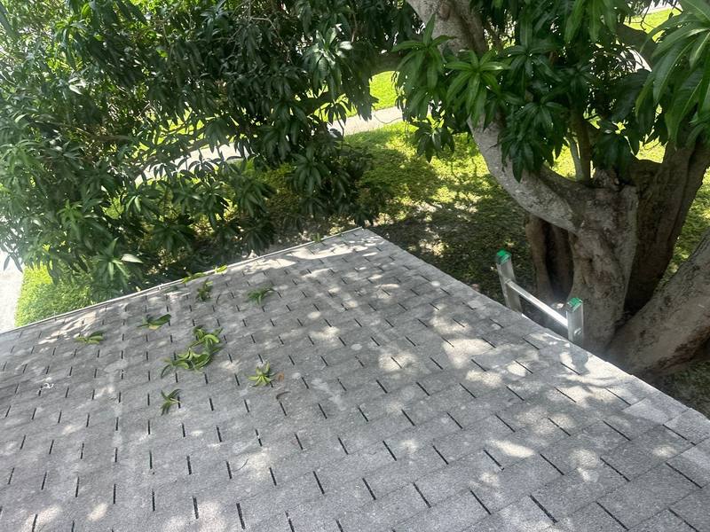 residential shingle roof replacement by Hloska Roofing in St. Pete