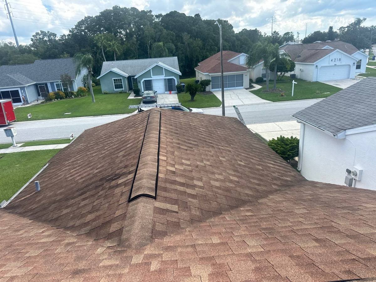 shingle roof replacement in New Port Richey, Florida