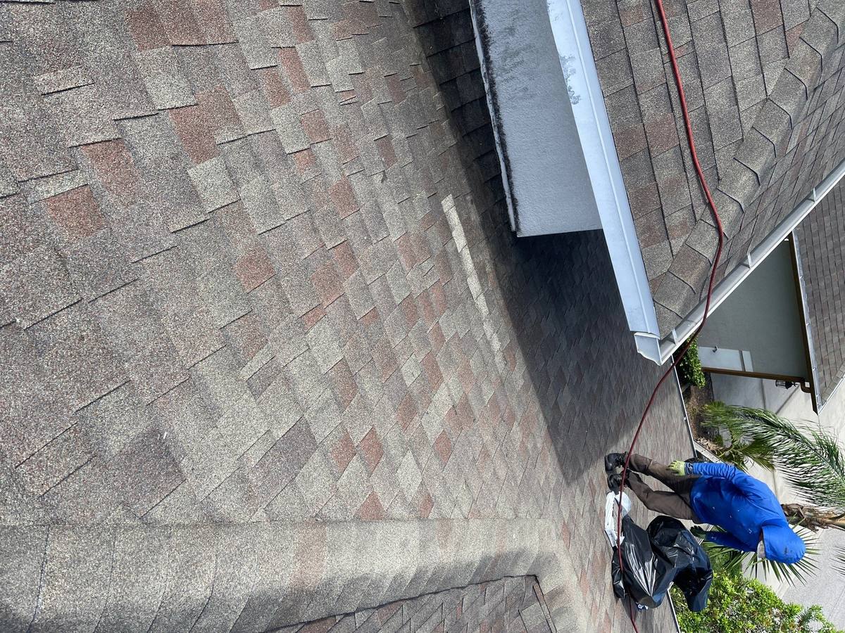 roof repair in Wesley Chapel, Florida
