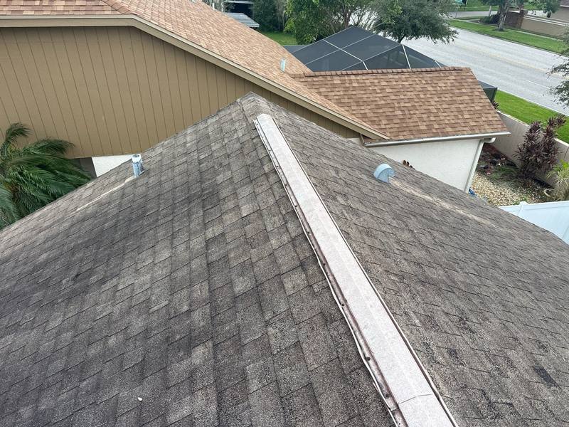 roofing project near Thimbleberry Ln in Tampa