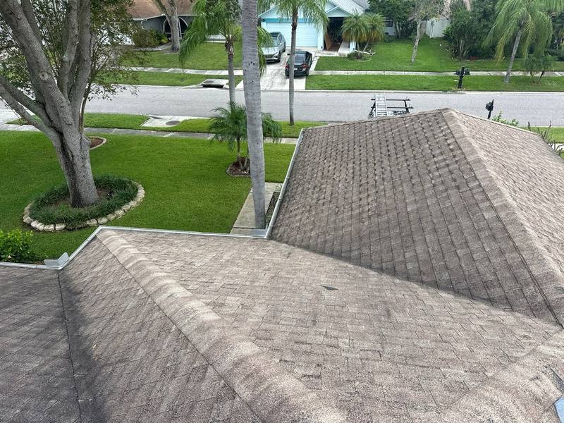 residential roof replacement by Hloska Roofing in Tampa