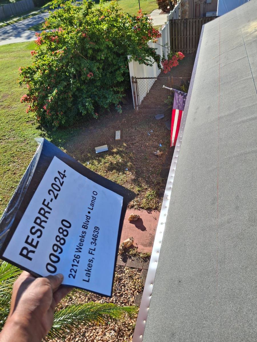 shingle roof replacement in Land O Lakes, Florida