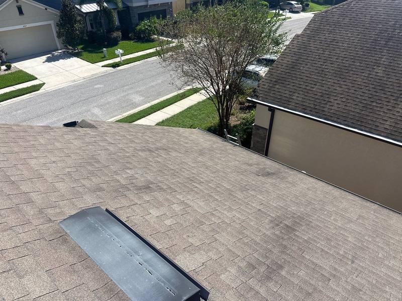 completed roofing project in Wesley Chapel FL