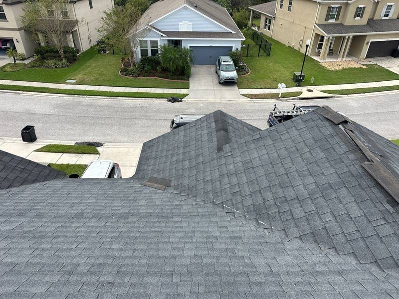 shingle roof replacement in Wesley Chapel, Florida