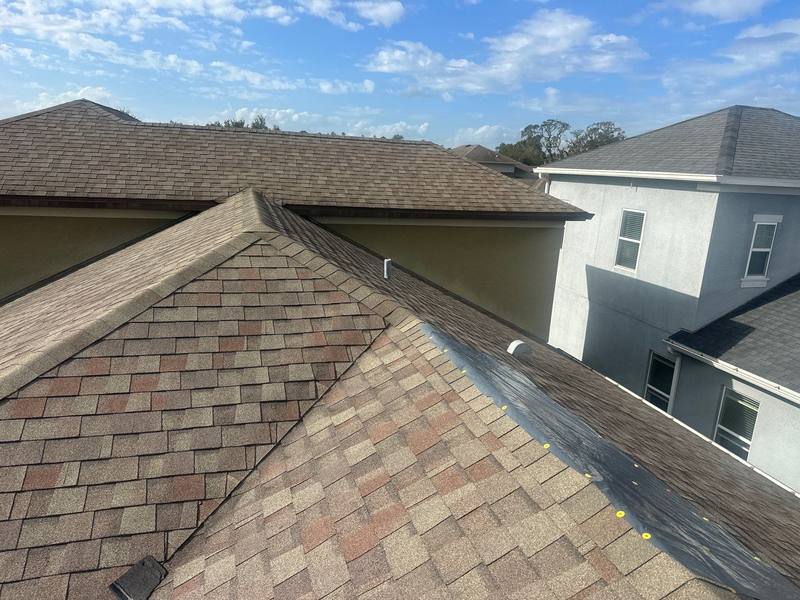 residential shingle roof replacement by Hloska Roofing in Wesley Chapel