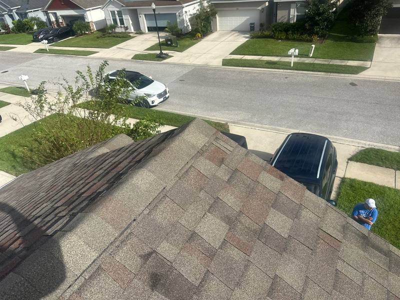 shingle roof replacement in Wesley Chapel, Florida
