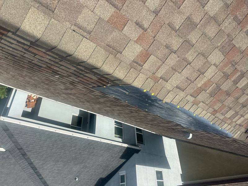 residential shingle roof replacement by Hloska Roofing in Wesley Chapel