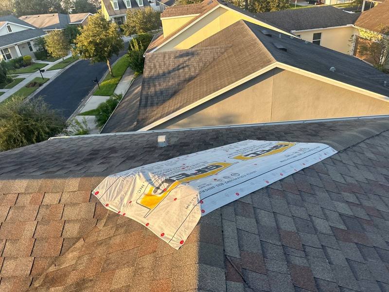 completed roofing project in Wesley Chapel FL