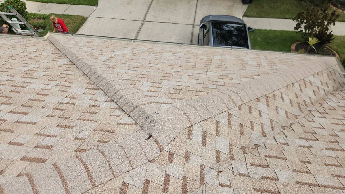 roof replacement in Tampa, Florida