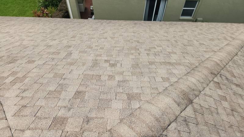 roof replacement in Tampa, Florida