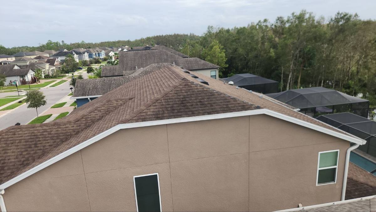roof replacement in Tampa, Florida