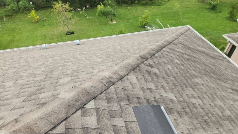 roof replacement in Tampa, Florida