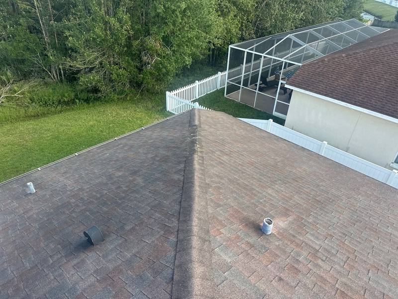 roofing project near Bold Venture Pl in Wesley Chapel