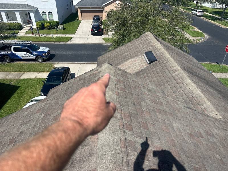 completed roofing project in Wesley Chapel FL