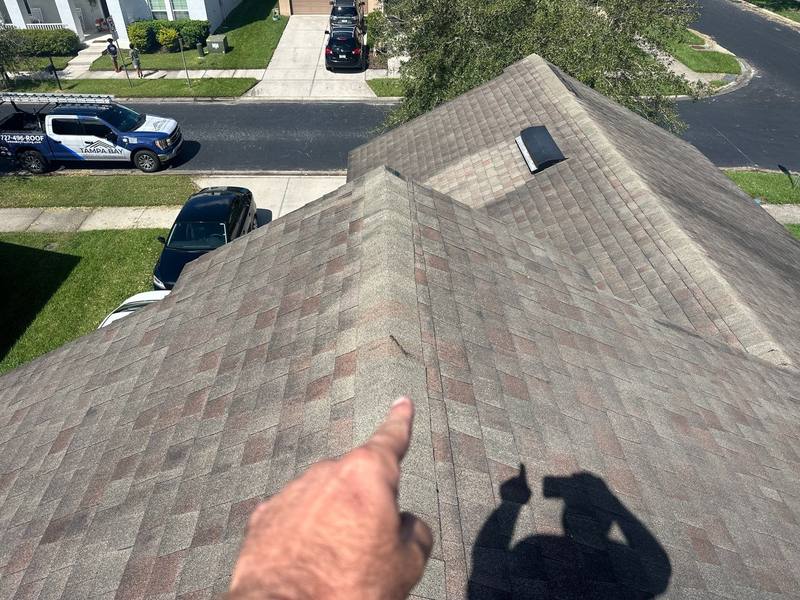 completed roofing project in Wesley Chapel FL