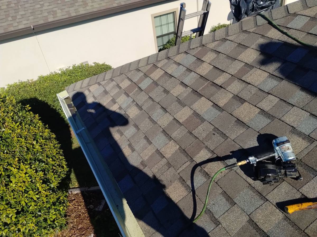 shingle roof replacement in Land O Lakes, Florida