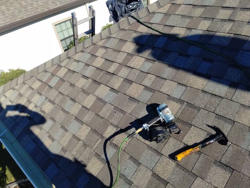 shingle roof replacement in Land O Lakes, Florida