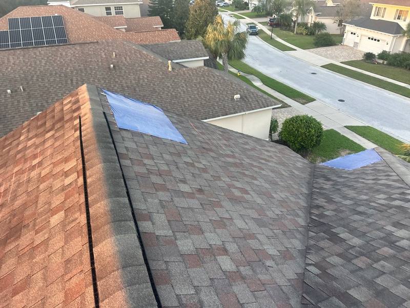 completed roofing project in Land O Lakes FL