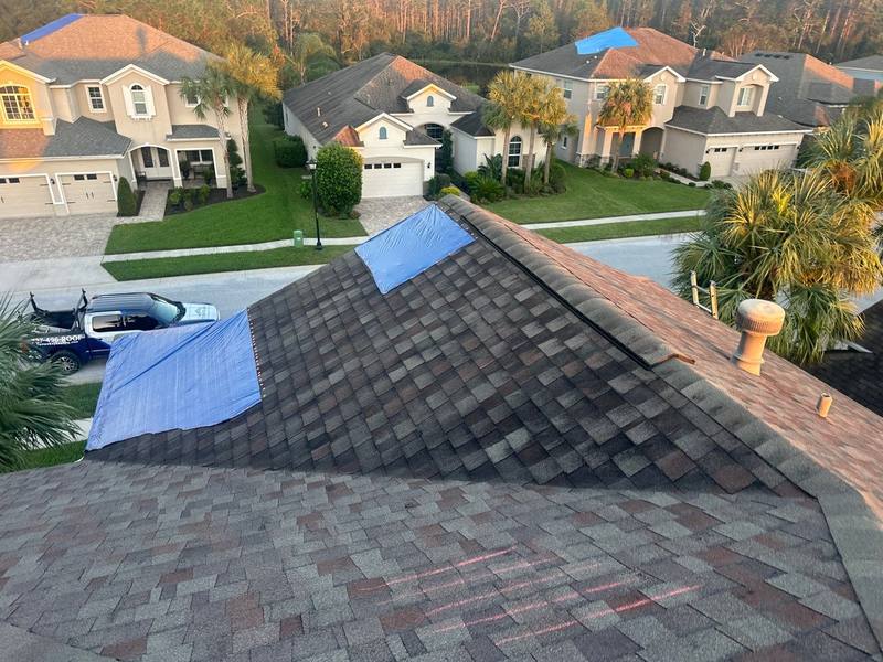 shingle roof replacement in Land O Lakes, Florida