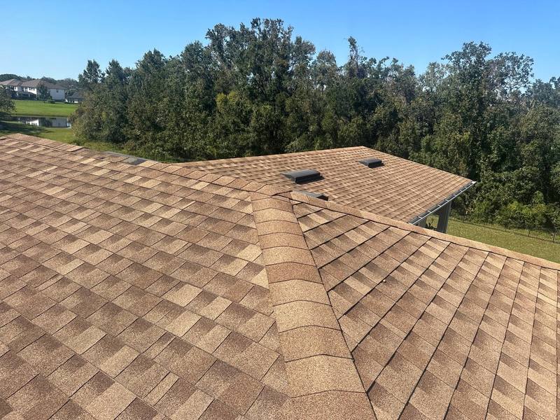 roofing project near Meadow Grange Lane in Lutz