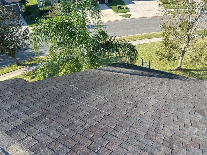 roofing project near Sparkling Way in Wesley Chapel