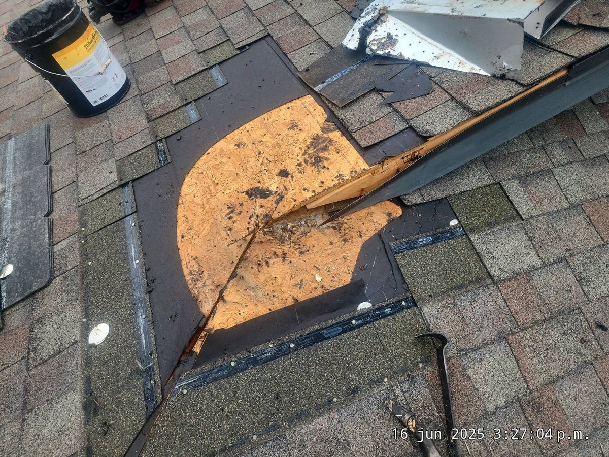 roof repair in Trinity, Florida
