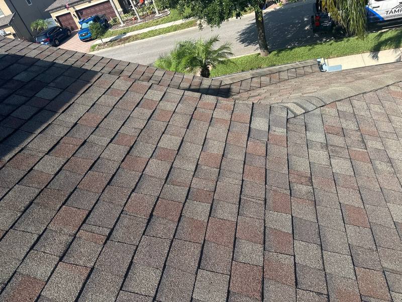 completed roofing project in Trinity FL