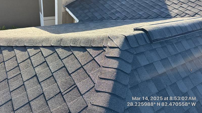 roofing project near Auburn Leaf Tr in Land O' Lakes