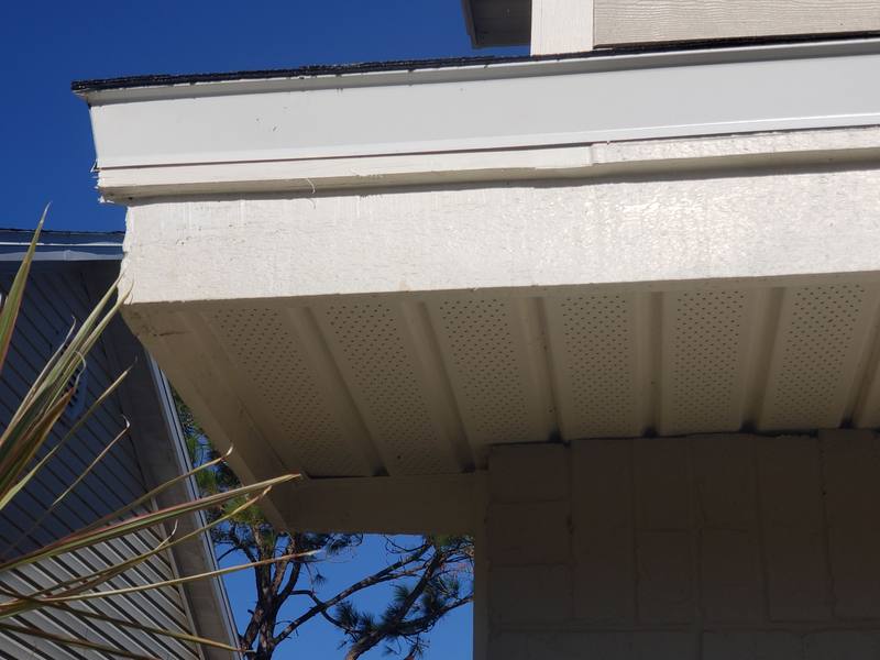 shingle roof replacement in Tampa, Florida