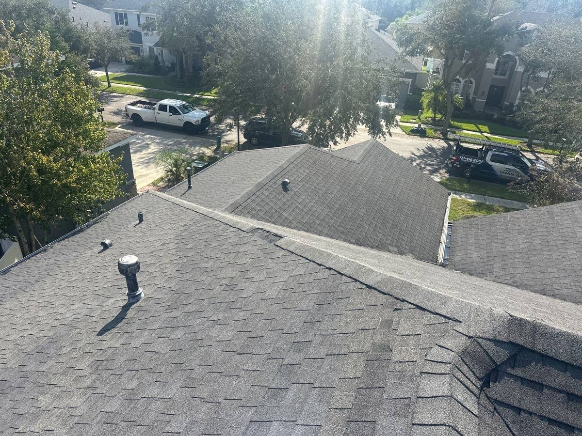 shingle roof replacement in Tampa, Florida