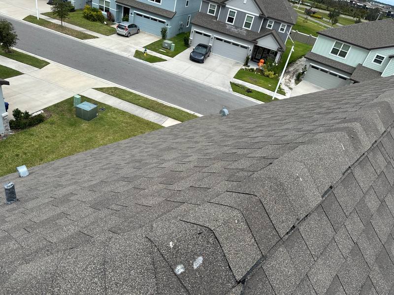 roofing project near Abby Brooks Cir in Wesley Chapel