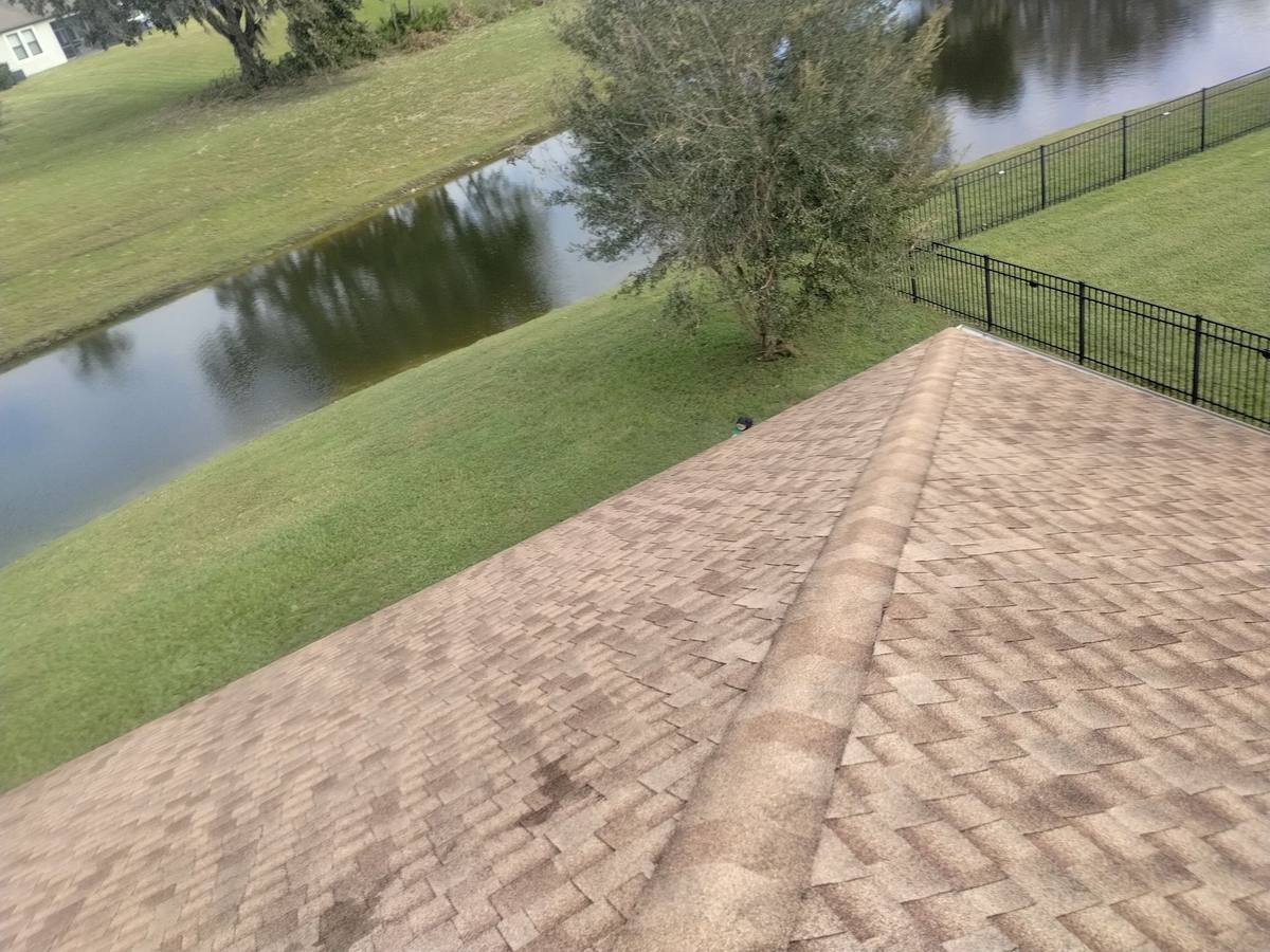 shingle roof replacement in Wesley Chapel, Florida