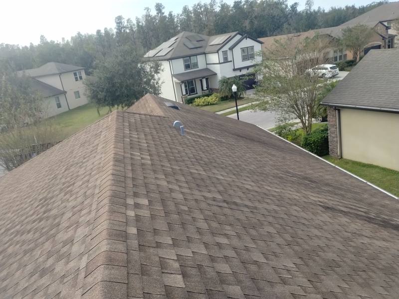 shingle roof replacement in Wesley Chapel, Florida