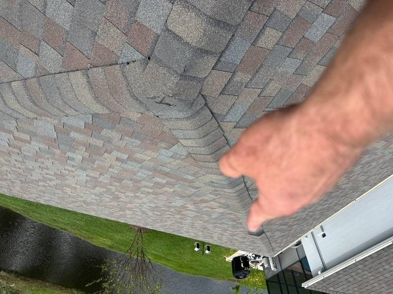 roof replacement in Wesley Chapel, Florida