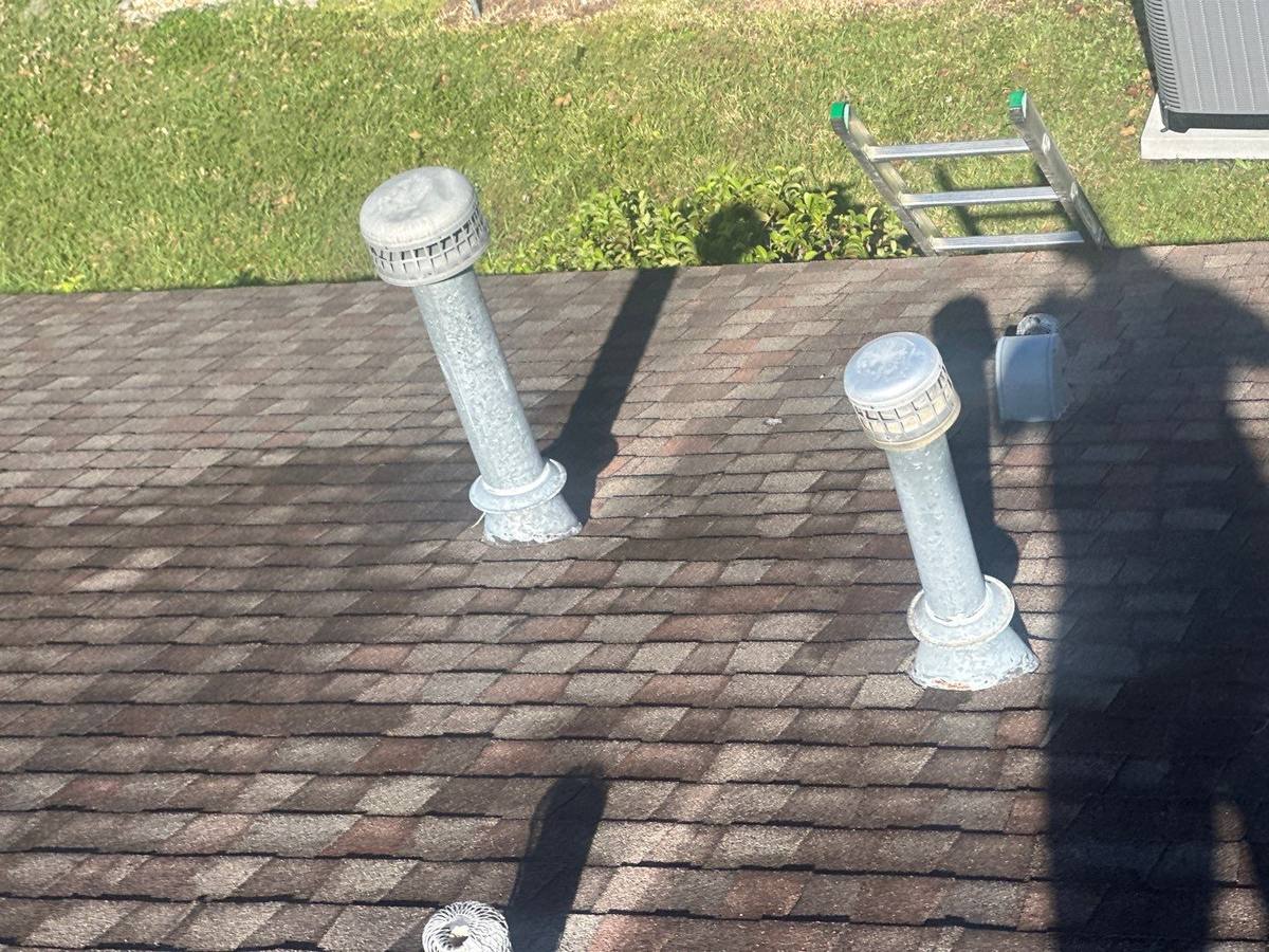 shingle roof replacement in Wesley Chapel, Florida