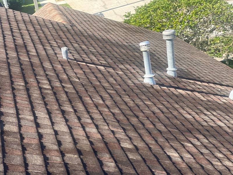 roofing project near Maximilian Drive in Wesley Chapel
