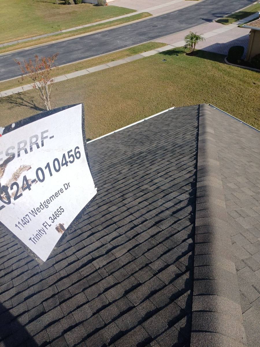 shingle roof replacement in Trinity, Florida
