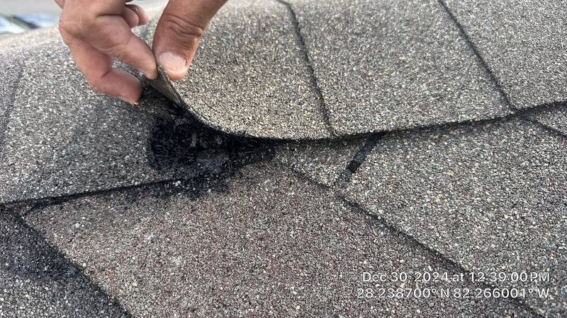 roof repair in Wesley Chapel, Florida