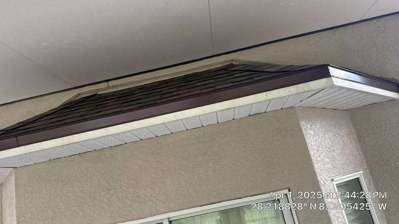 residential shingle roof replacement by Hloska Roofing in Wesley Chapel