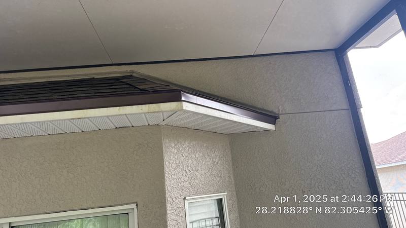 shingle roof replacement in Wesley Chapel, Florida