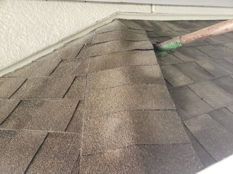 roofing project near White Bird Ave in Wesley Chapel