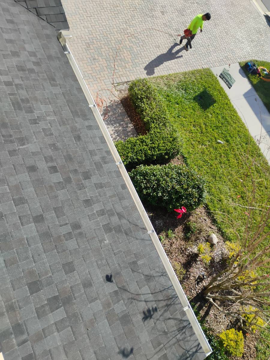 shingle roof replacement in Lutz, Florida